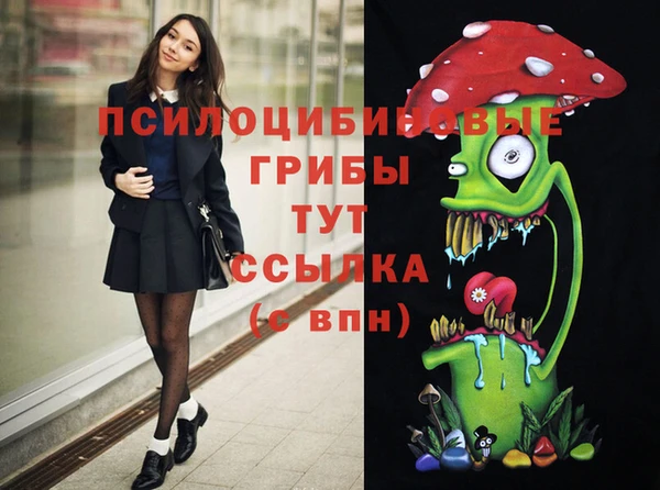 соль ск Наволоки