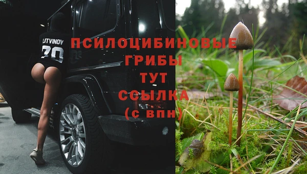 альфа пвп Михайловск