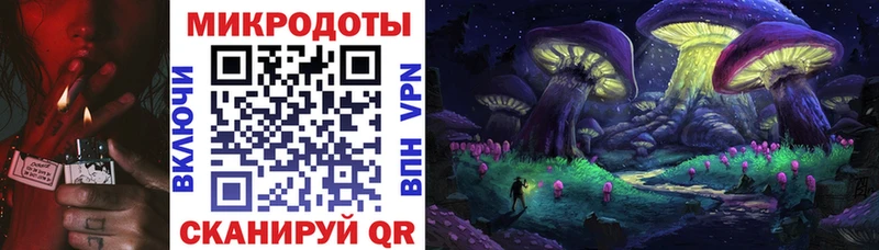 Псилоцибиновые грибы Psilocybe  Купить закладки  Игра 